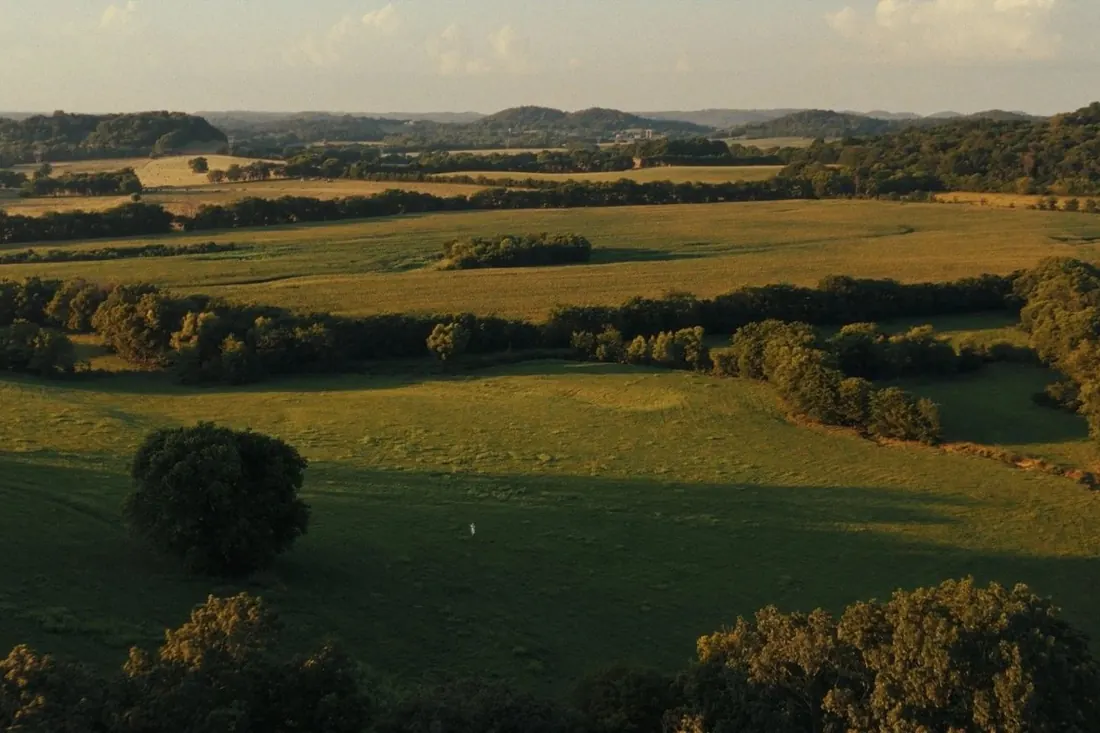 Open fields and treeline along Thompsons Station Road West at dusk