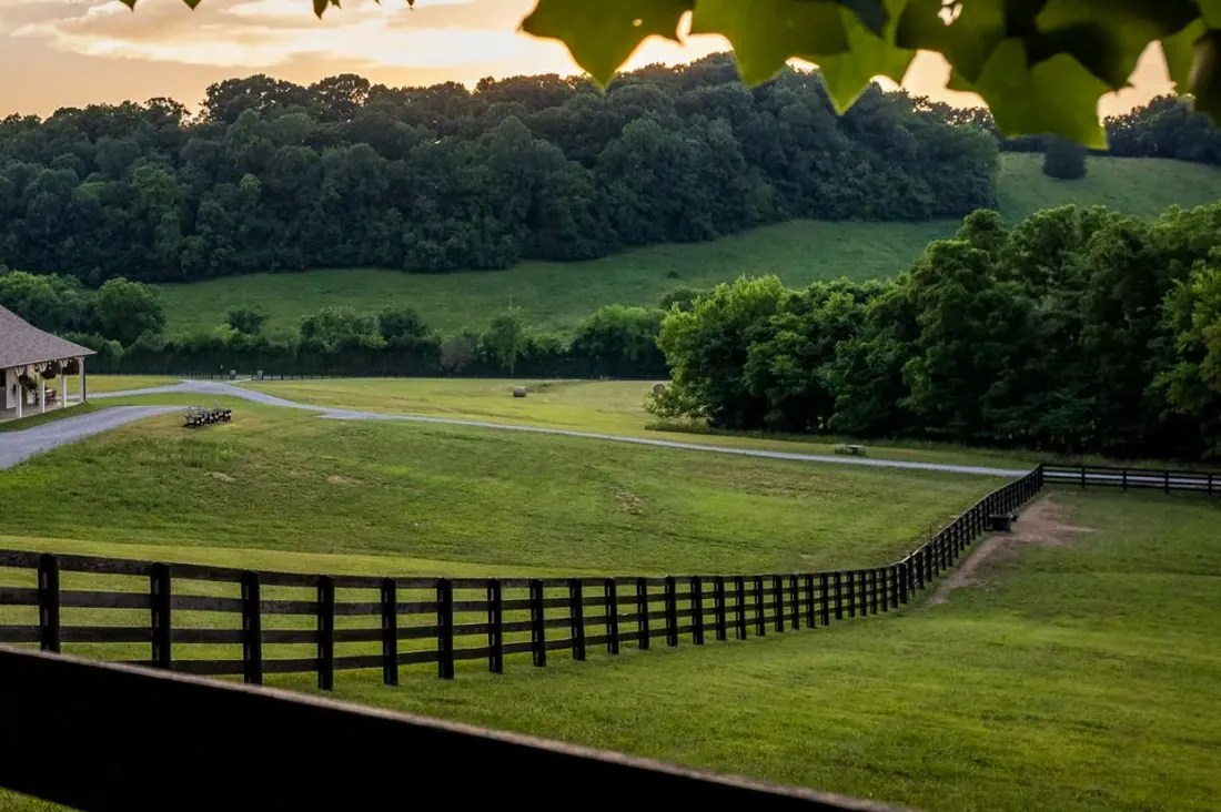 Rolling pasture and black board fence at Snowbird Hollow, Franklin